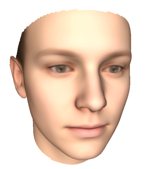 RGB Face Tracking and Reconstrucion